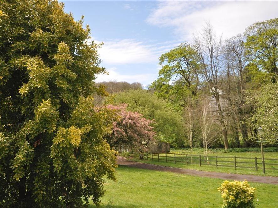 Sixpenny Cottage Upwey Esterno foto